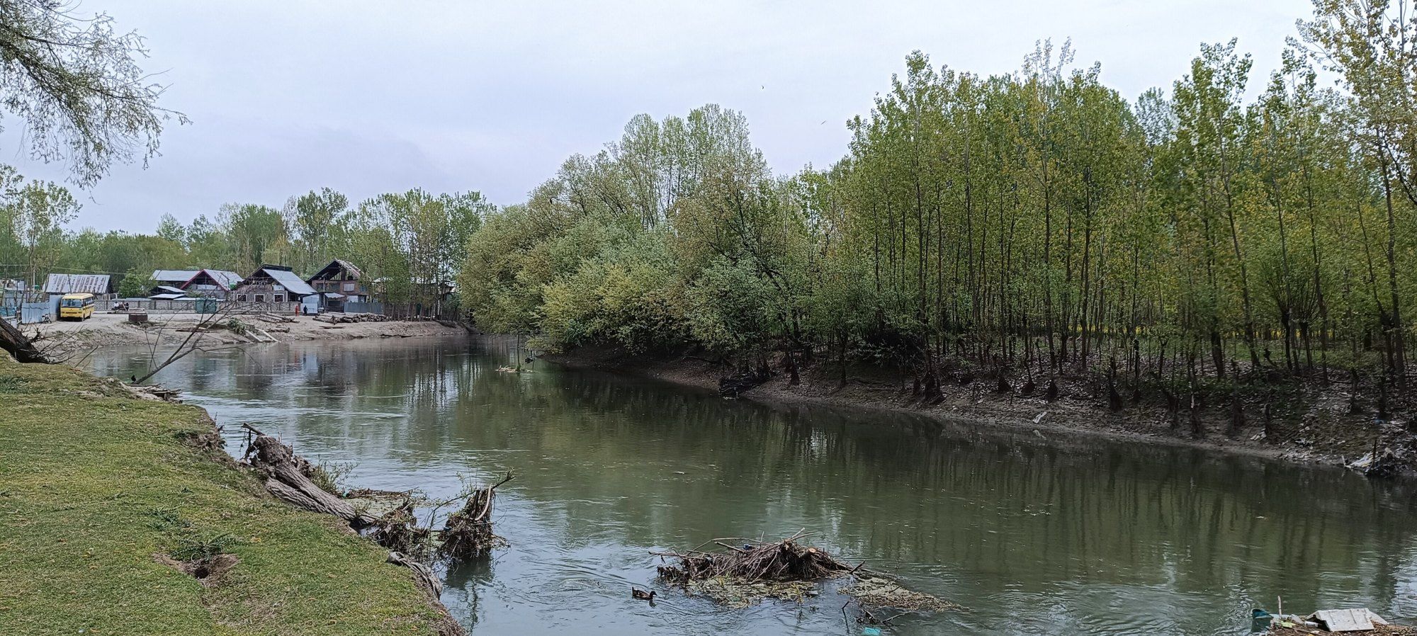 River and poplar trees in Ganderbal district