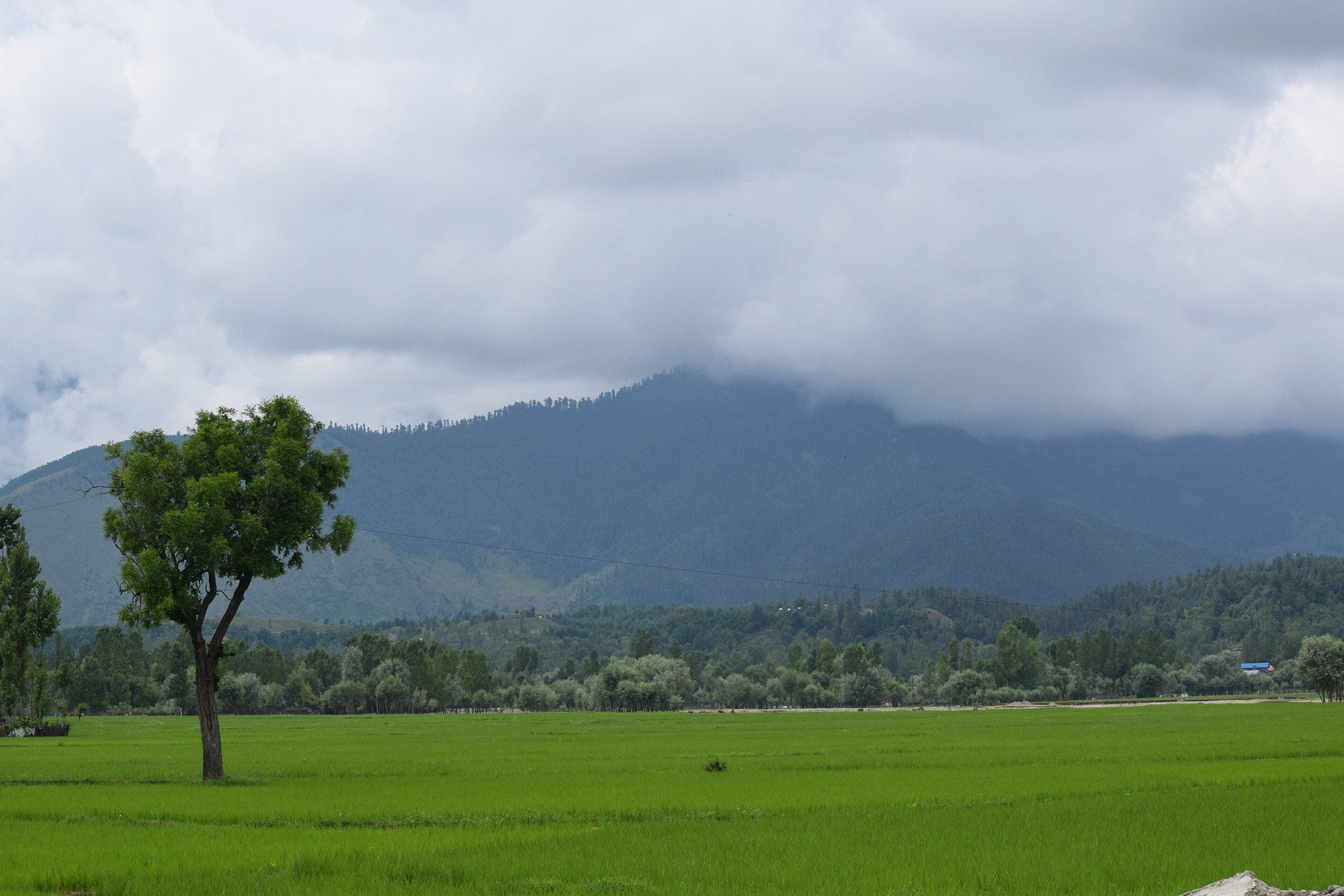 Green fields and mountains in Kupwara district